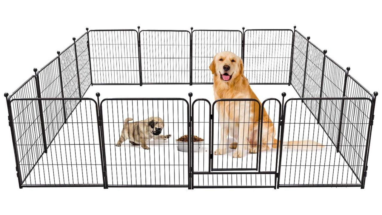 Collapsible Fence for Dogs