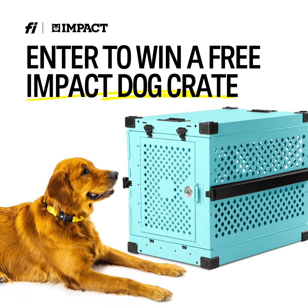 Dreaming of a New Crate? Fi and Impact Have You Covered!