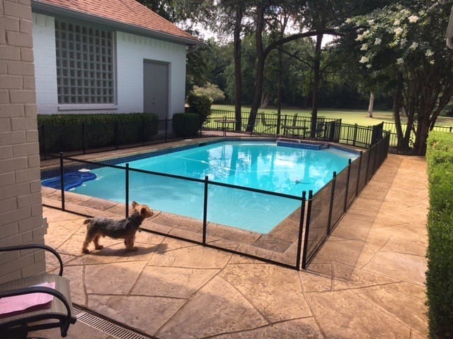 Dog Fence Around Pool
