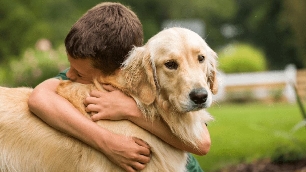 Are Golden Retrievers Good Family Dogs?A Comprehensive Guide