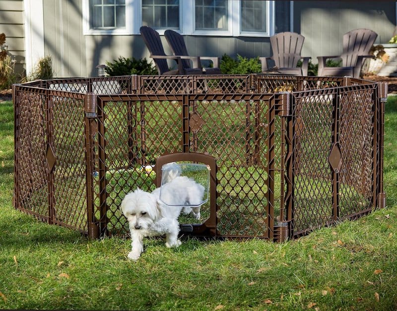 What Fence is Best for Dogs