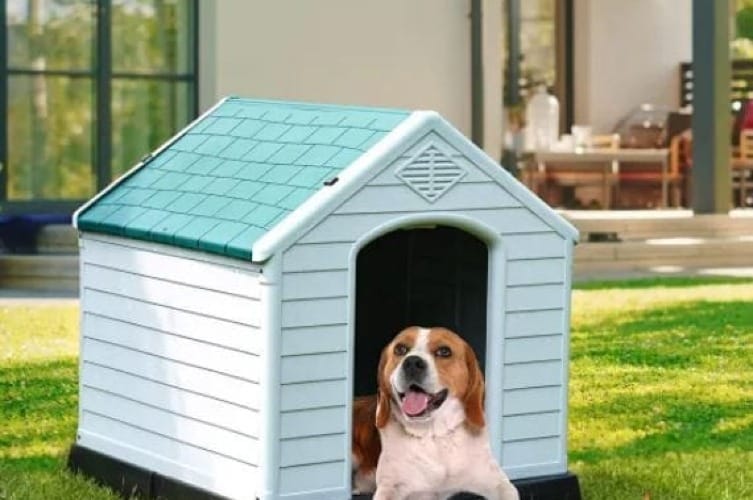 Large Dog Kennel Outdoor