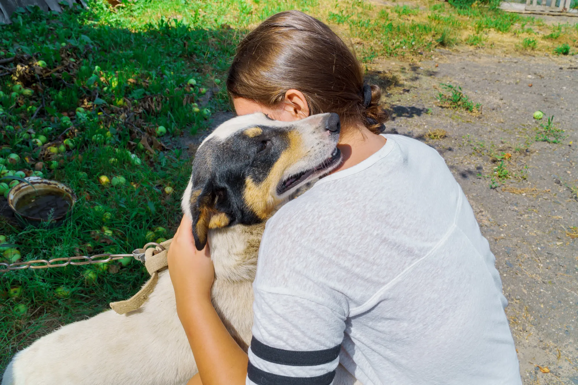 Are You Your Dog's Favorite Human