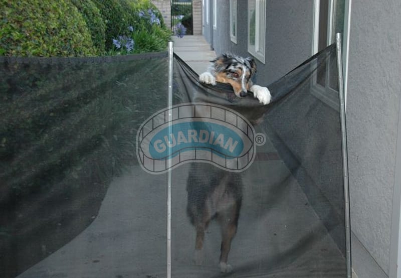 Fence Netting For Dogs