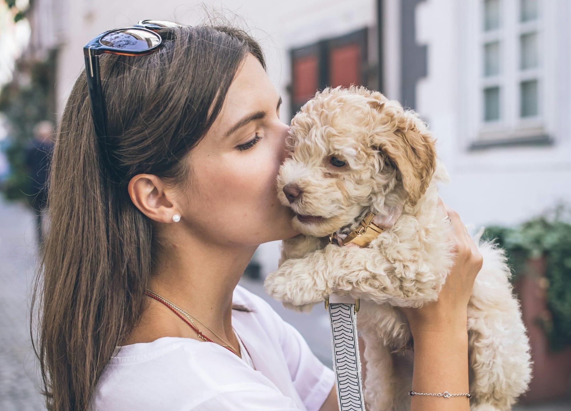 Do Dogs Know What Kisses Are?