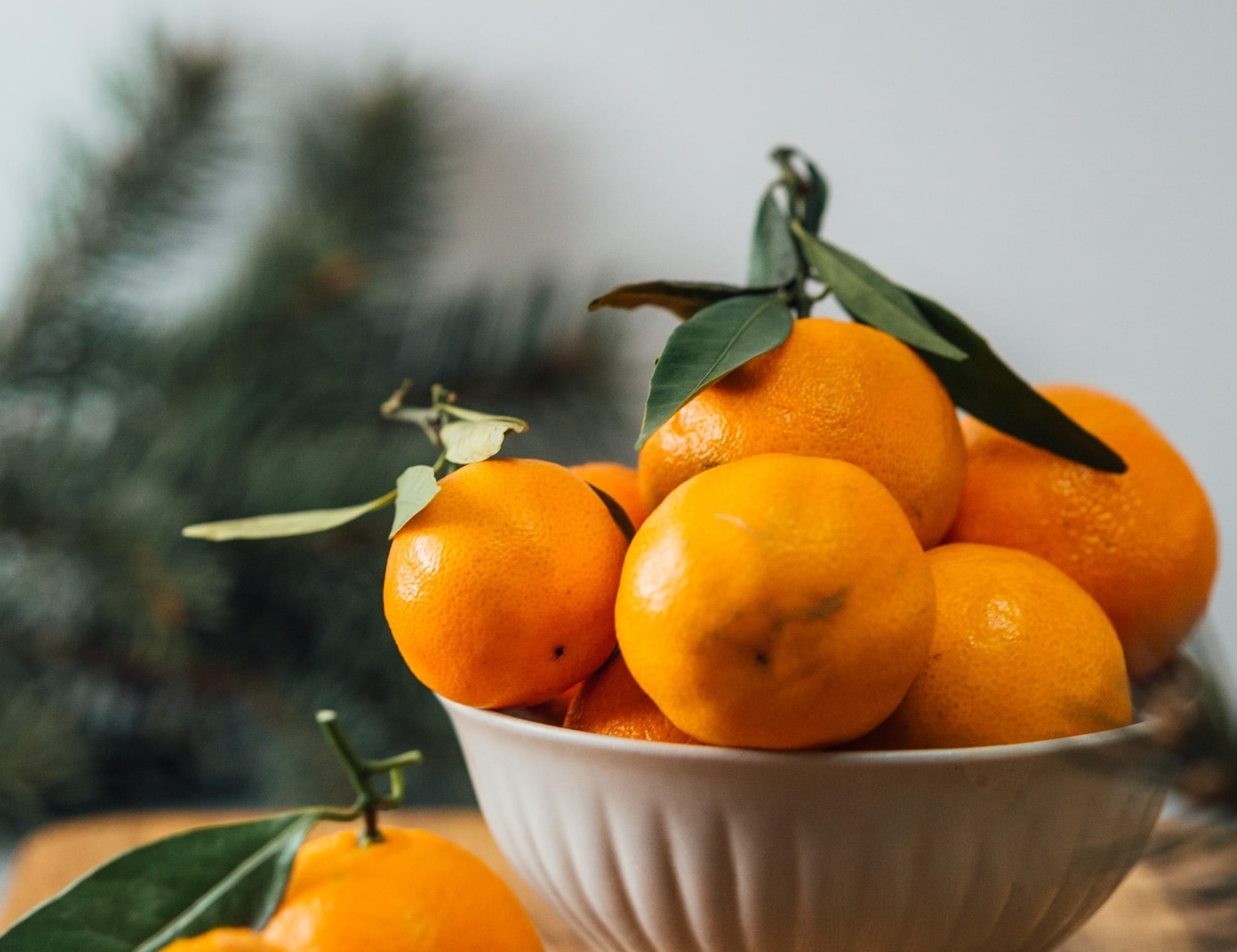 Guide: Can Dogs Safely Eat Clementines and Citrus?
