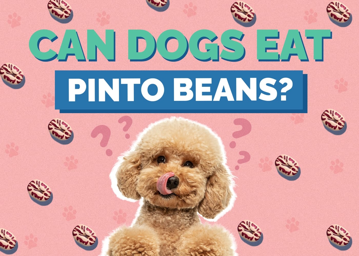 Can Dogs Eat Pinto Beans?