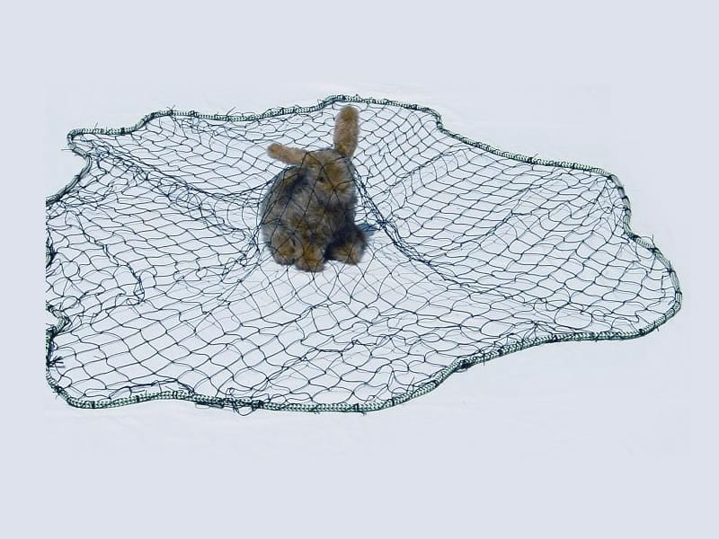 Rabbit Dog Net
