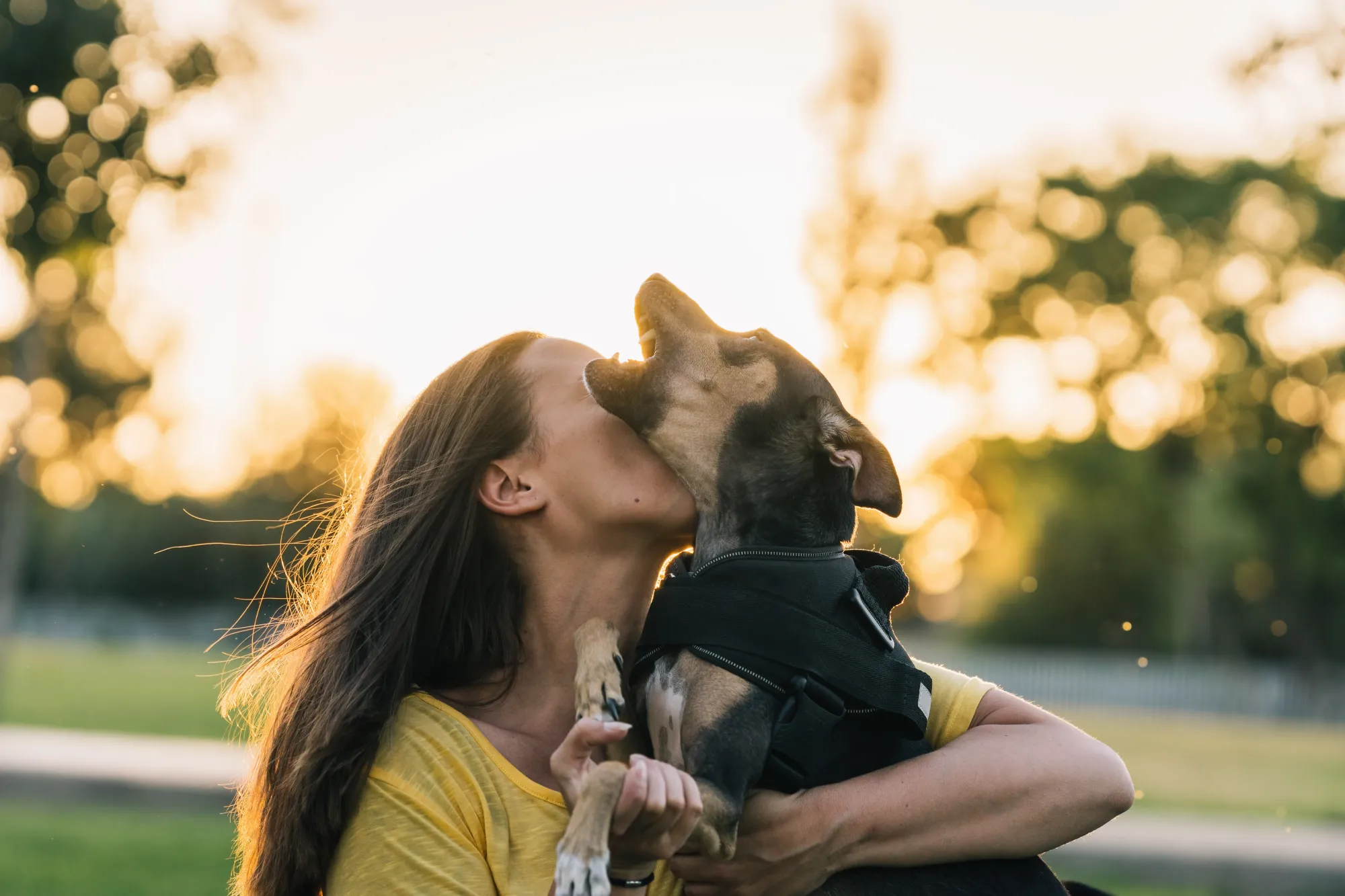 Enhancing the Human-Dog Relationship