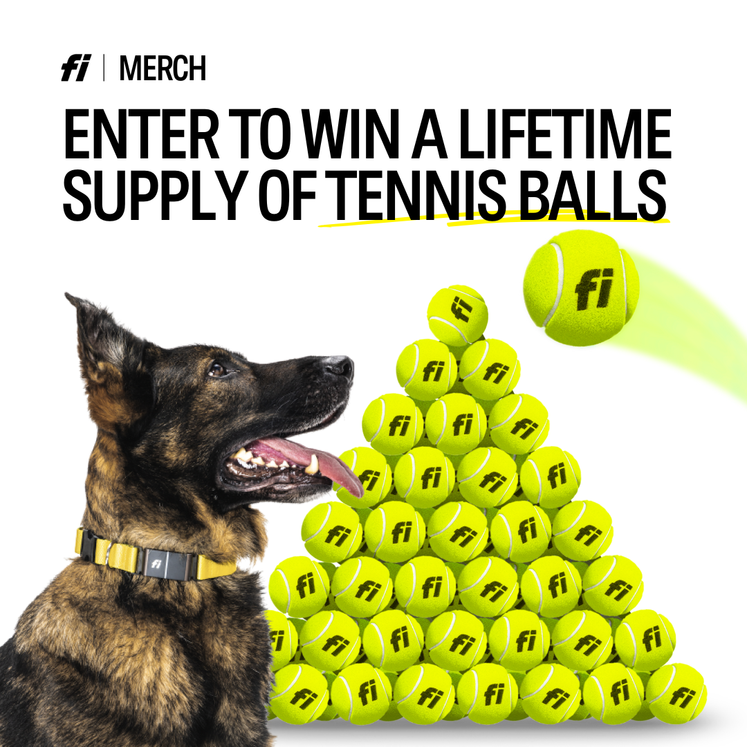 Lifetime Supply of Tennis Balls? Yes, Please.