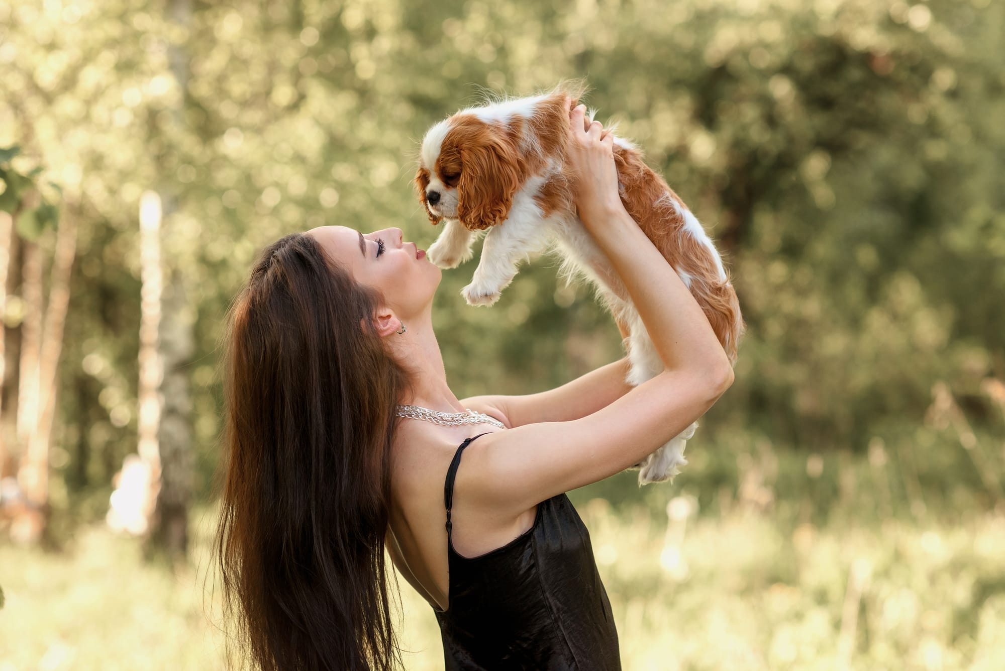 Best Dogs For Single Women: Choosing The Perfect Companion