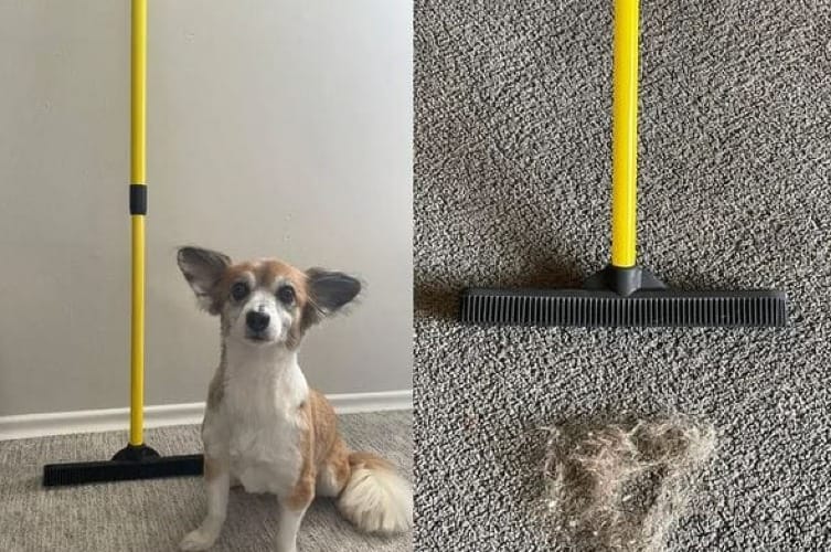 Best Broom for Dog Hair