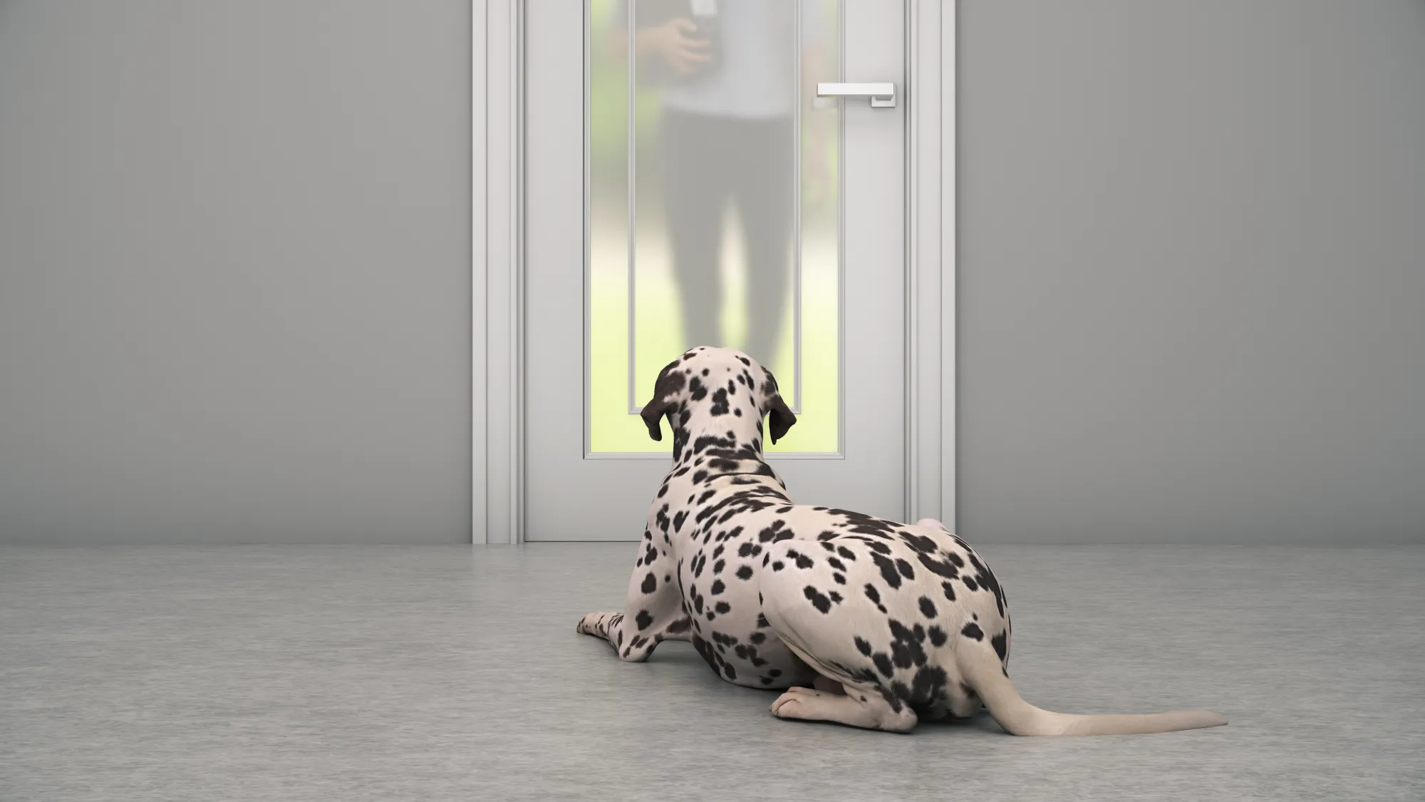 How to Protect Your Door from Dog Scratching