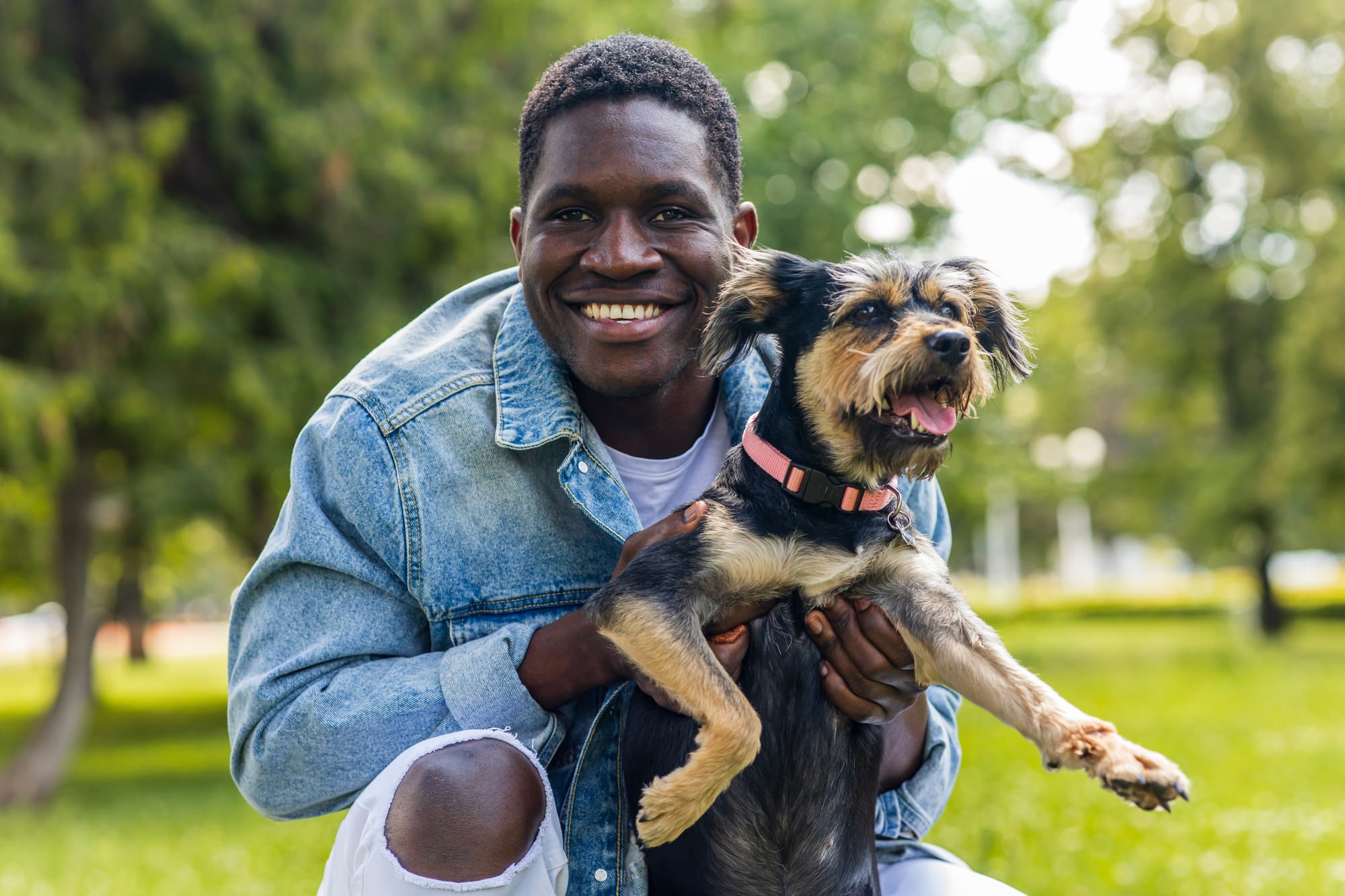 Best Dogs for Single Men