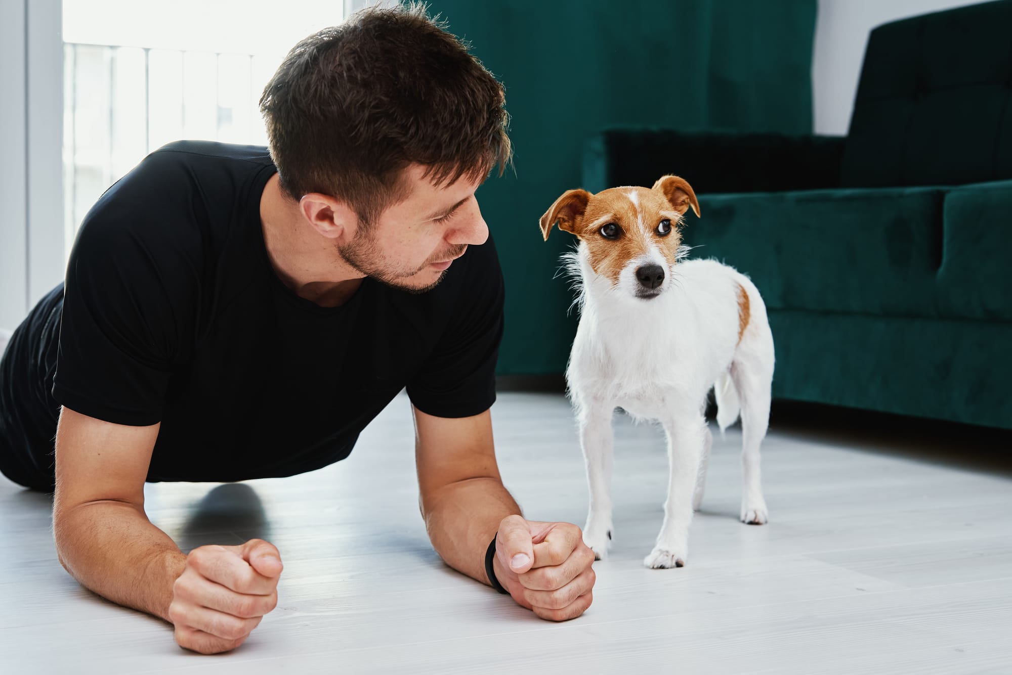 Dog Confidence Building Exercises
