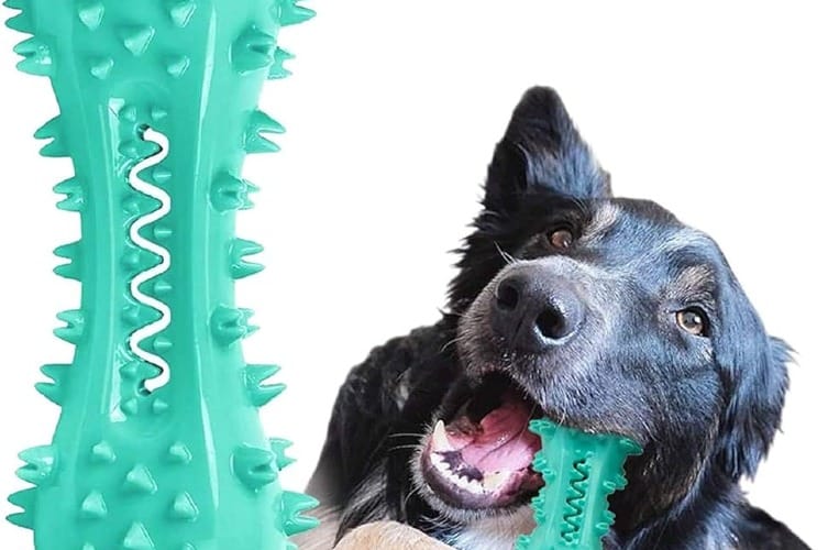 Toys for Teething Puppies