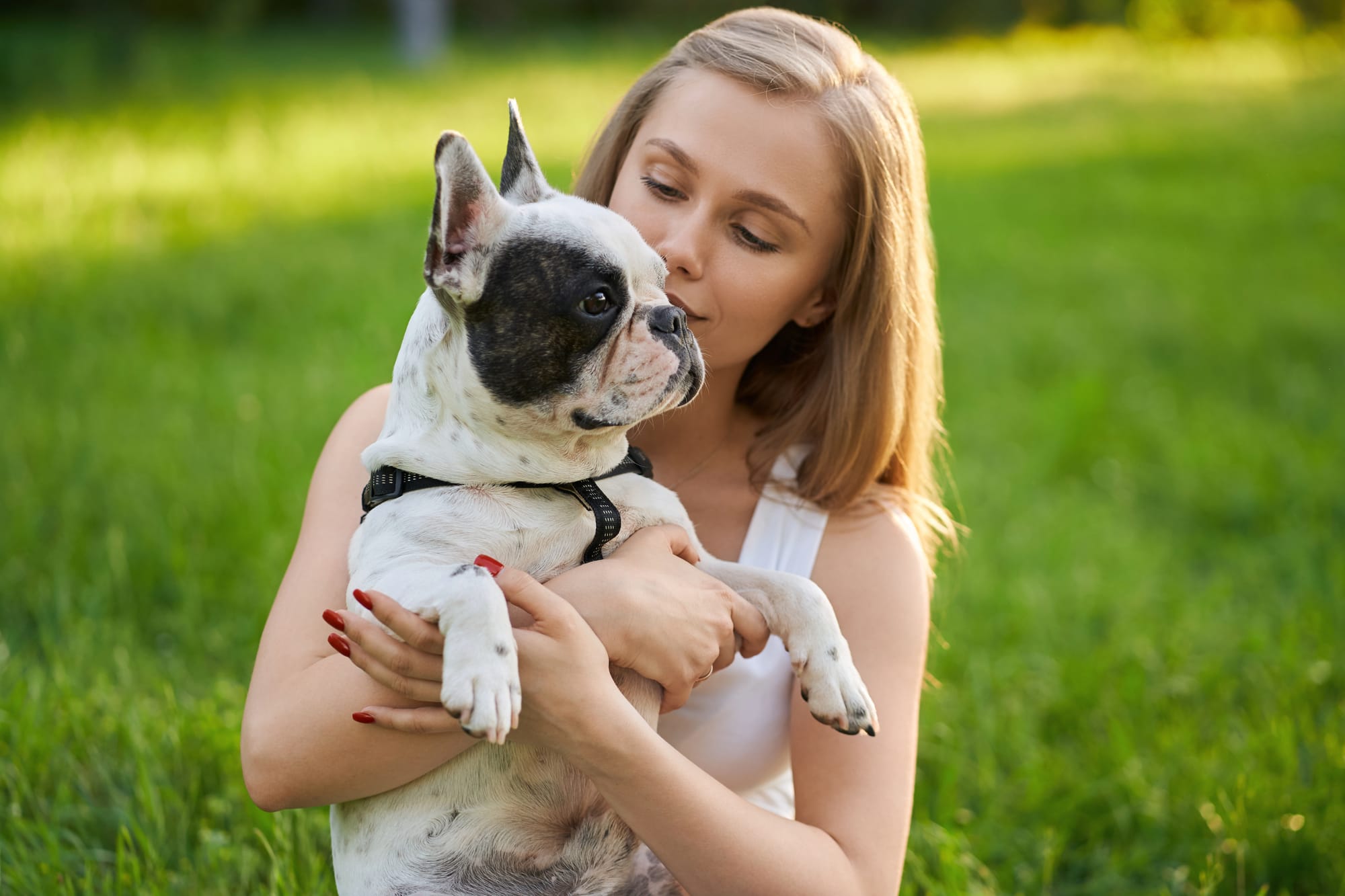 Best Dogs For Single Women: Choosing The Perfect Companion