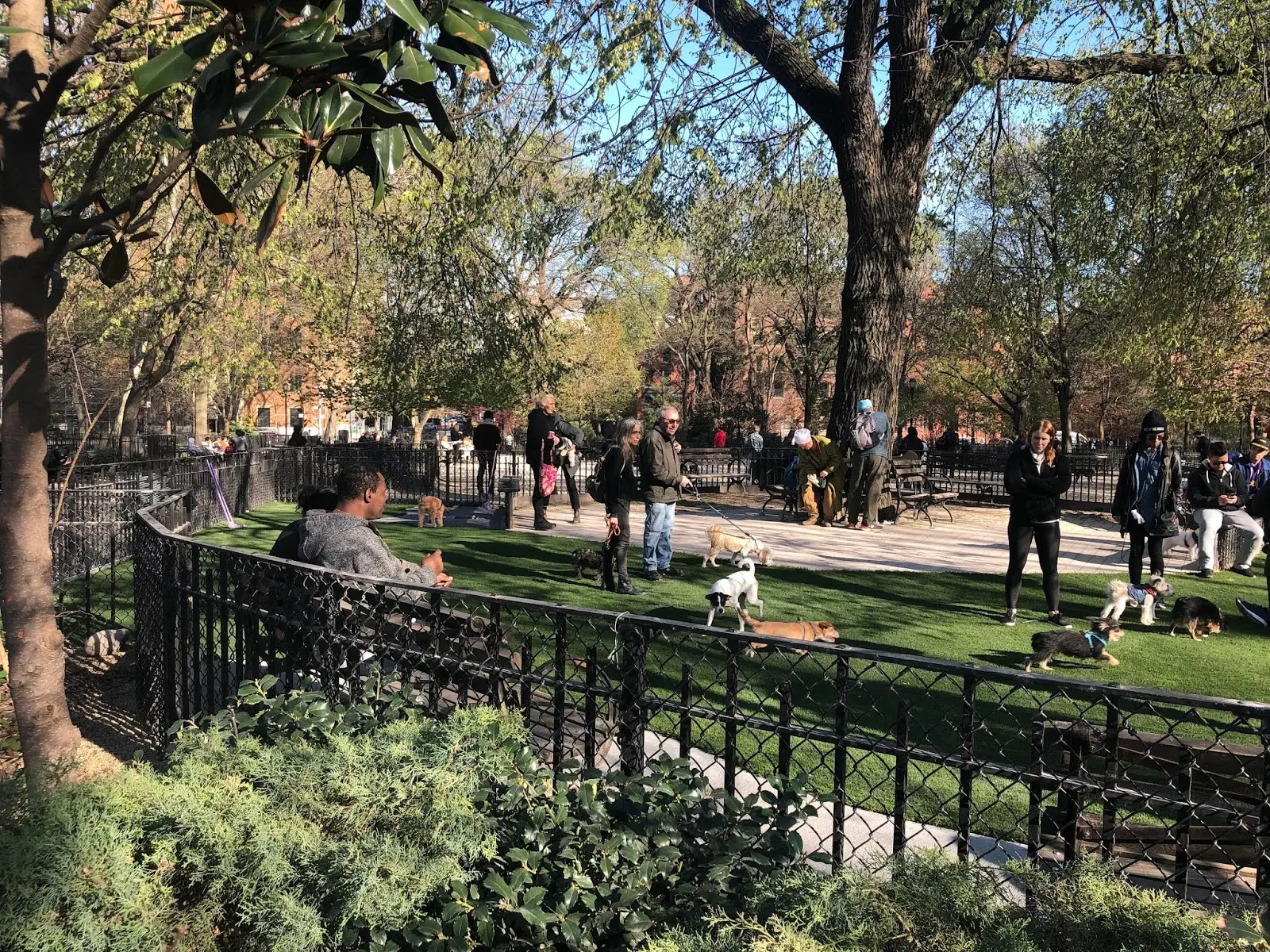 NYC Dog Parks
