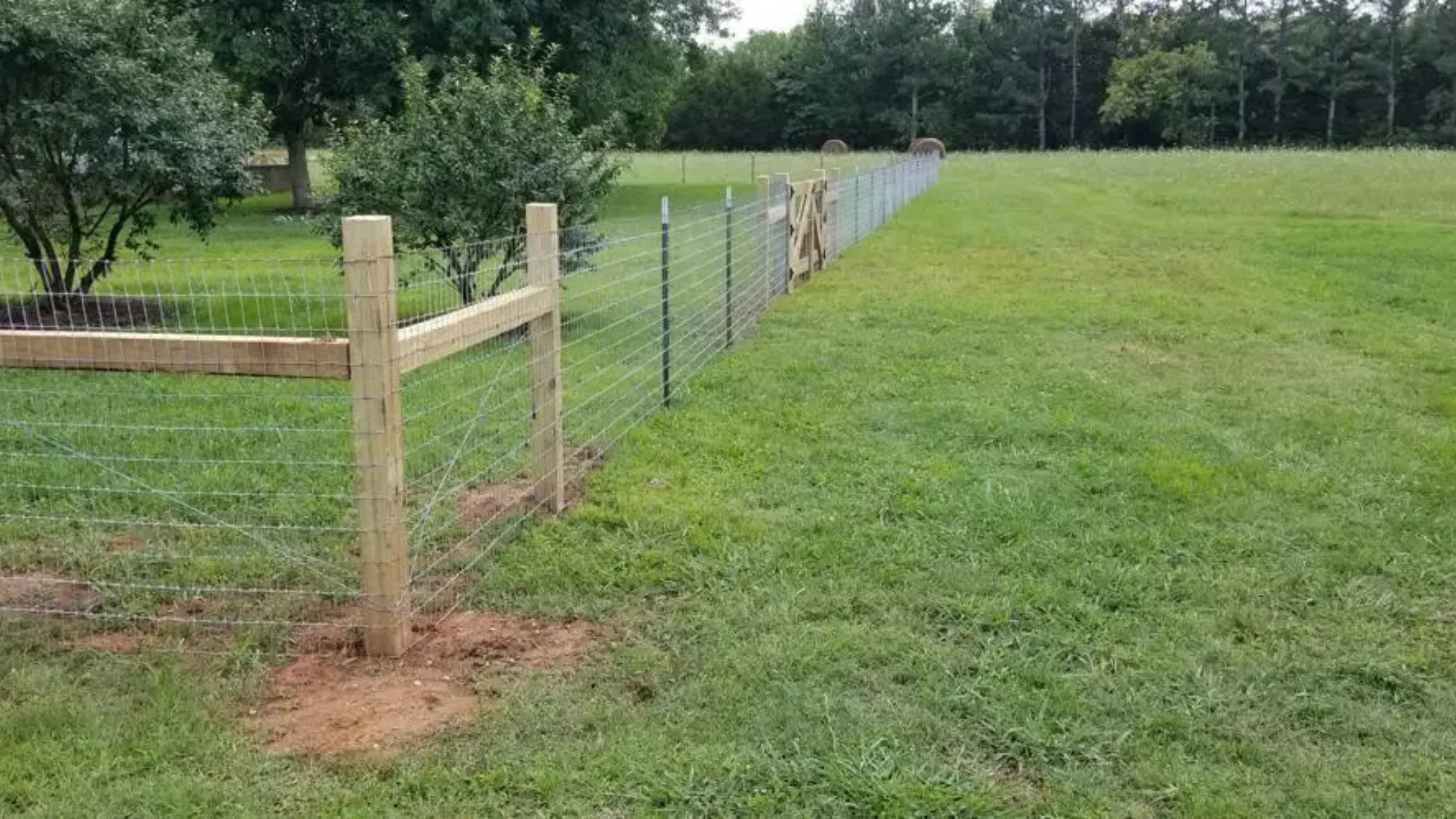 Secure & Easy DIY T-Post Dog Fence Guide