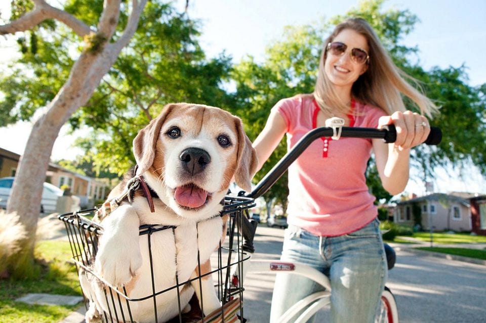Riding Bike with Dog