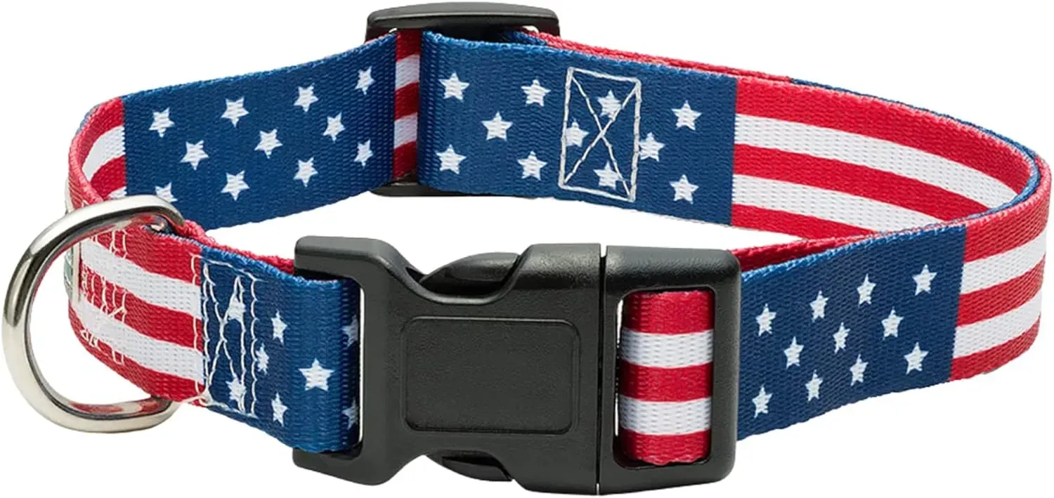 American Flag Dog Collar in 5 Different Sizes Classic (Small)