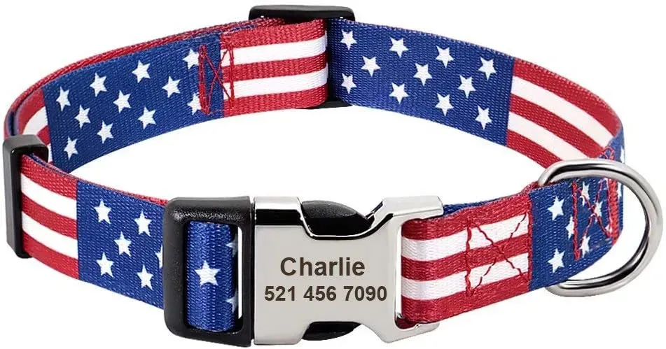 PET ARTIST American Flag Custom Dog Collar