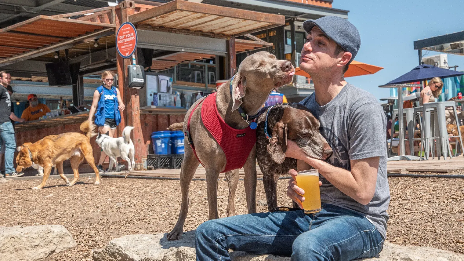 Kansas City's Canine Hangouts