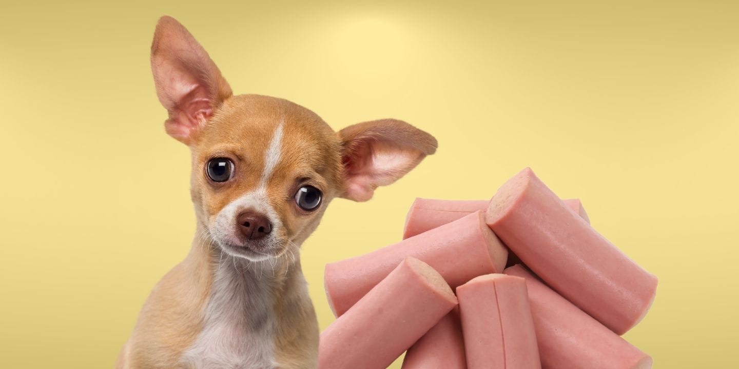 Can Dogs Eat Vienna Sausage?