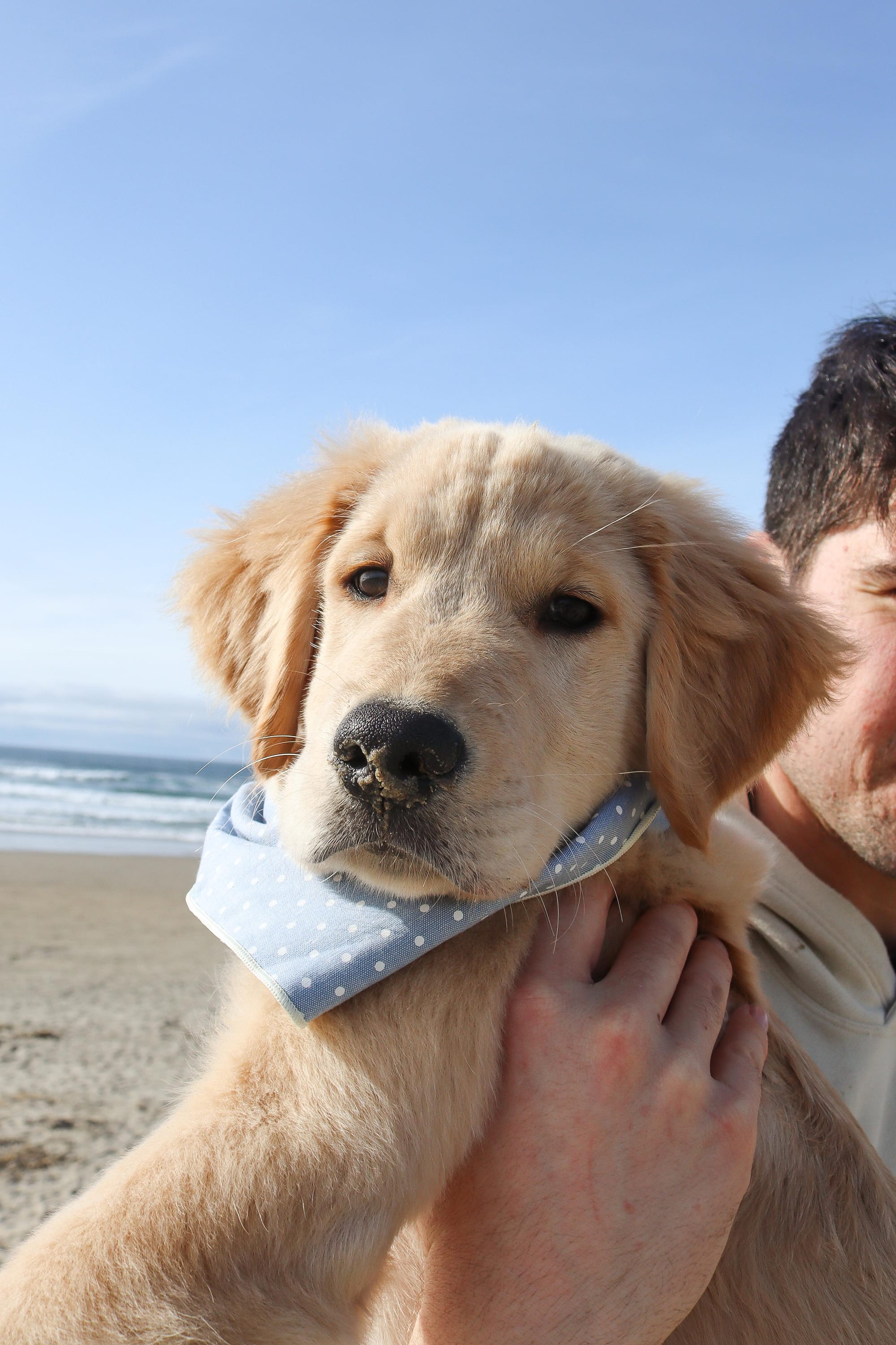 DOGFLUENCERS: Meet Moose, Seattle's Insta-Famous Pup and His Journey to Social Media Stardom