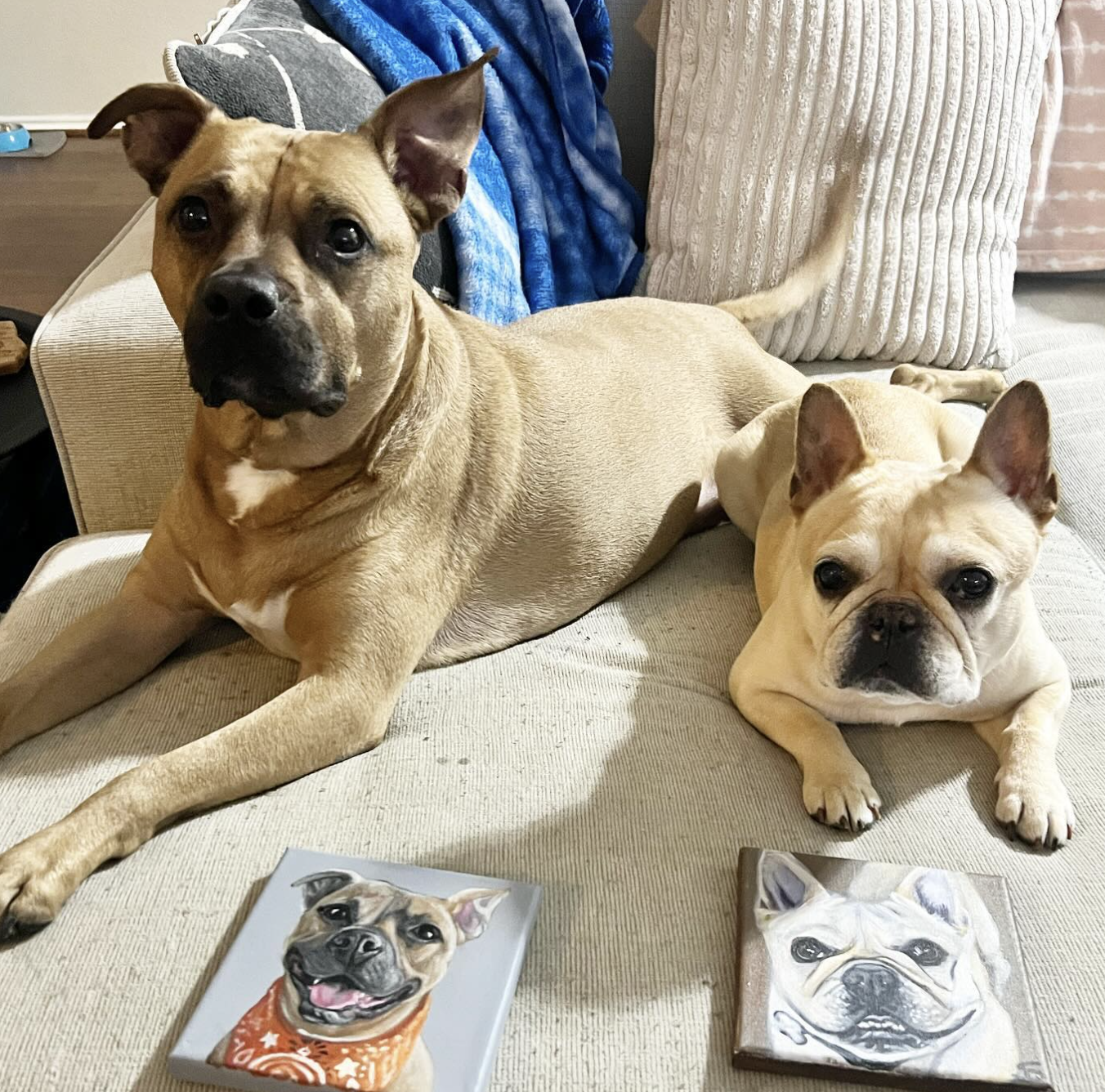 DOGFLUENCERS: Meet Owen & Bulleit, Dallas's Instagram Famous Dog Duo