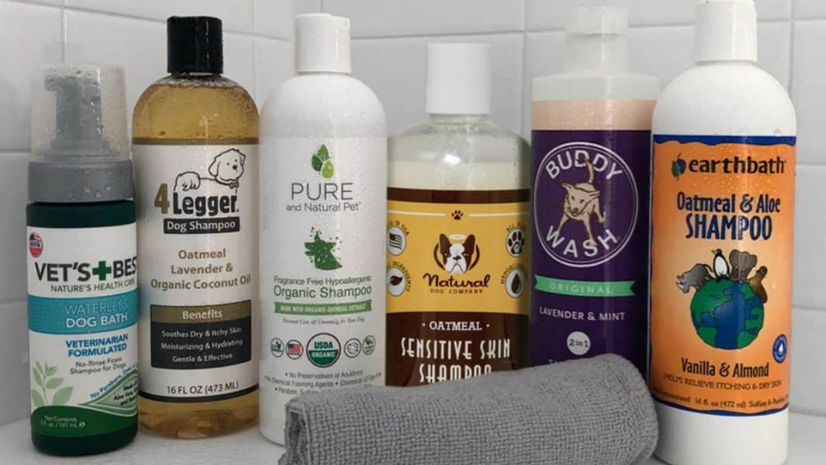 Best Dog Shampoos for Sensitive & Itchy Skin