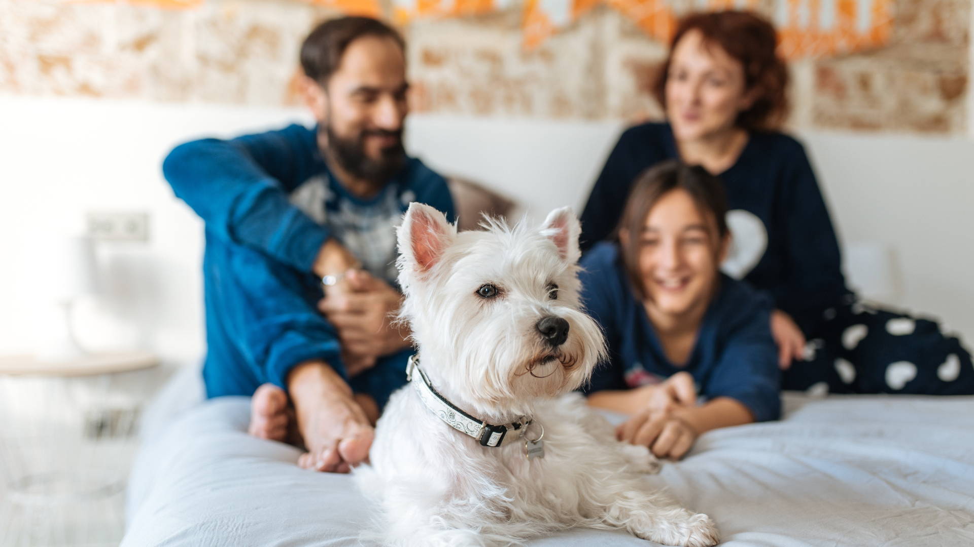 Are Westies Great Family Dogs