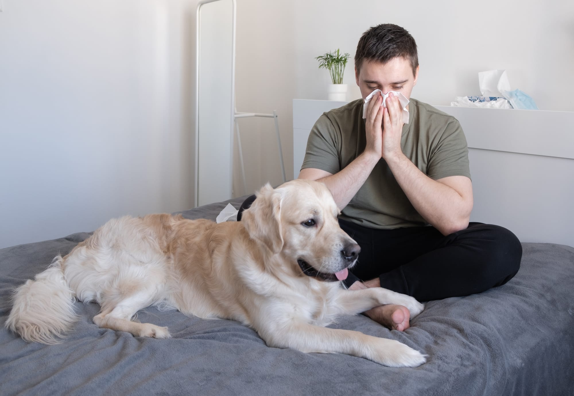 Do Dogs Know When You Are Sick