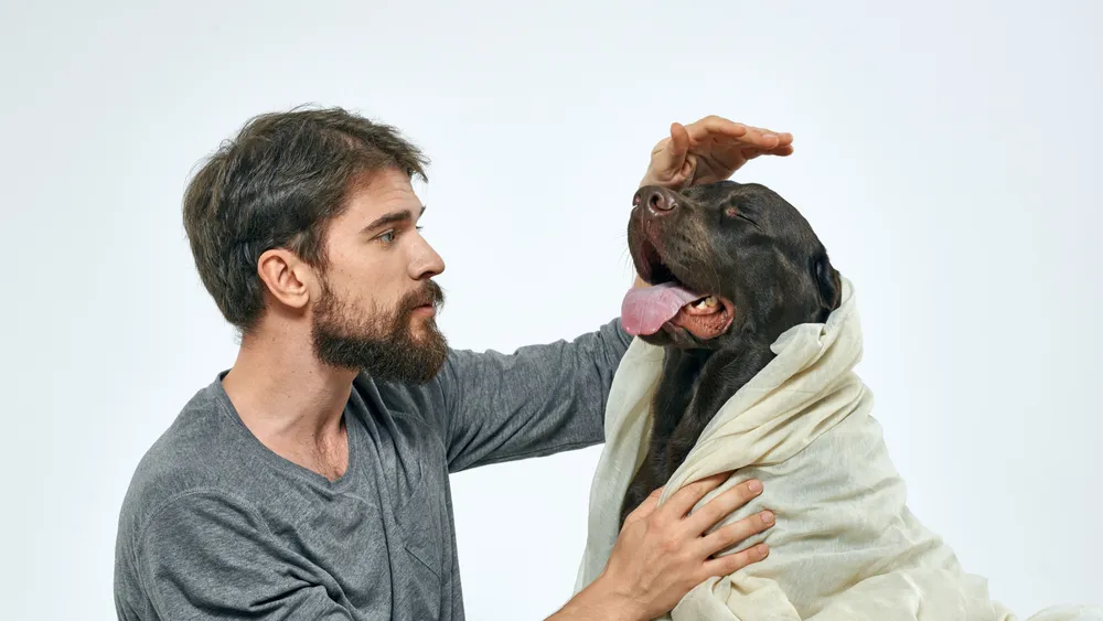 Home Remedies to Calm a Dog