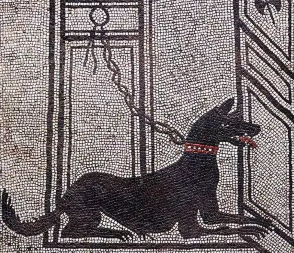 Dog Collars of Early History