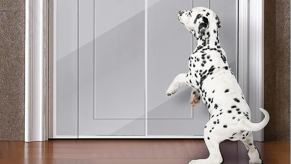 Ultimate Guide To Door Protector For Dogs