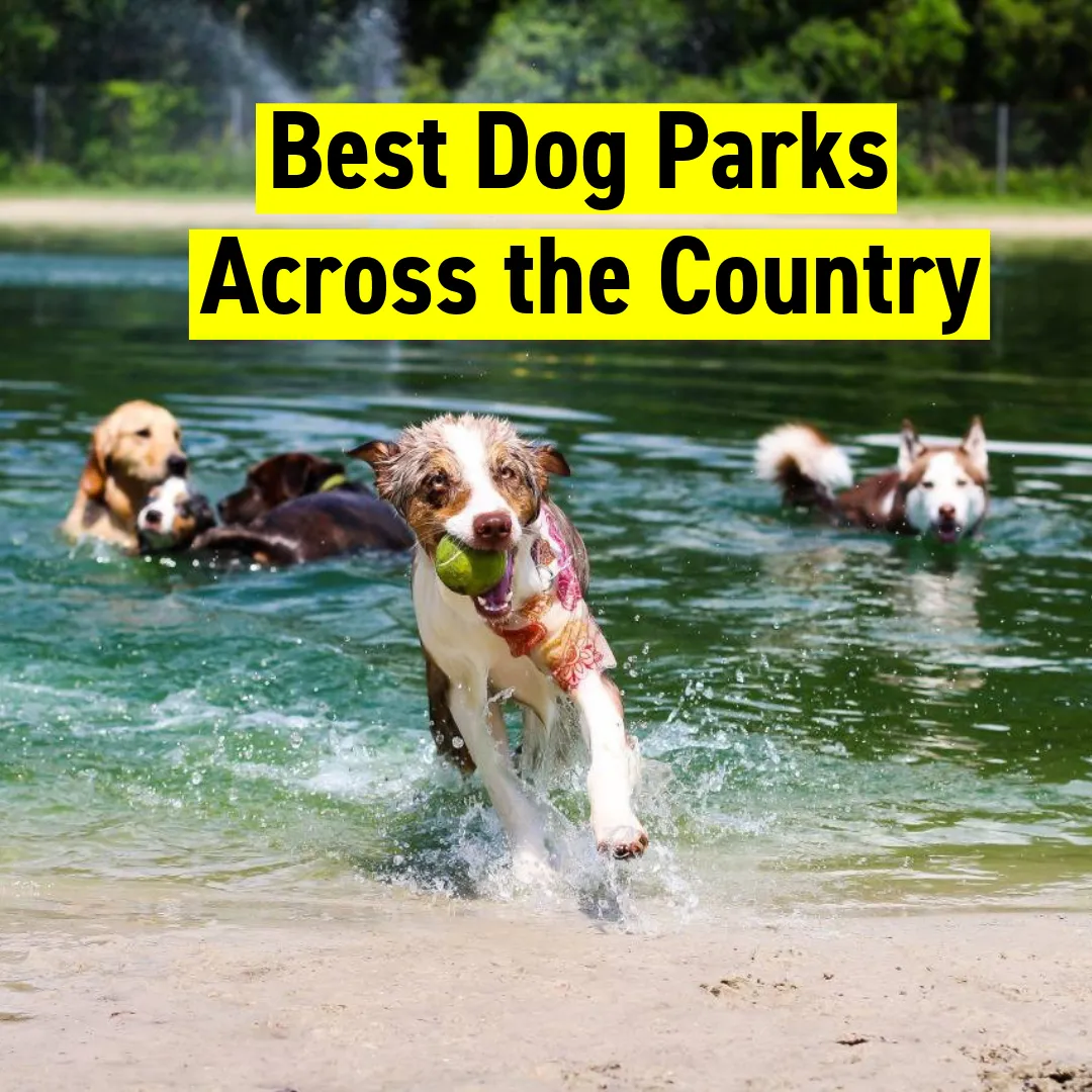 Best Dog Parks Across the Country