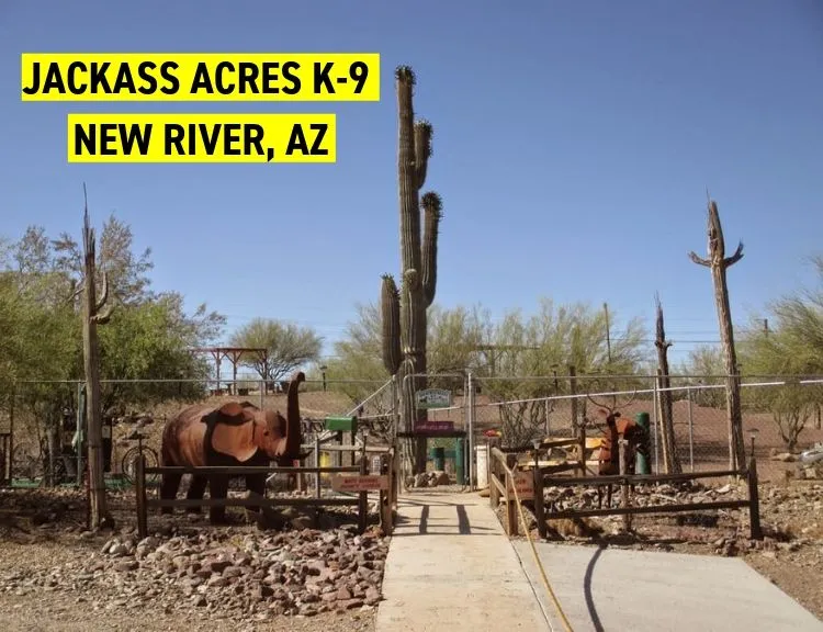 Jackass Acres K-9 Korral, New River, AZ