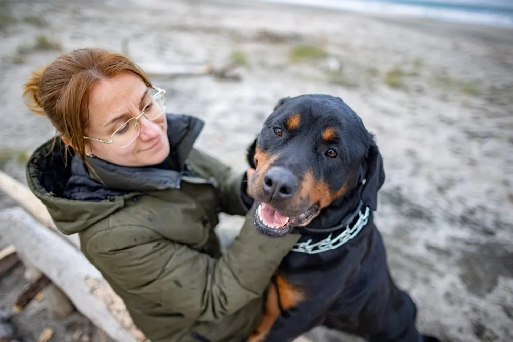 Nutrition and Its Role in Rottweiler Growth