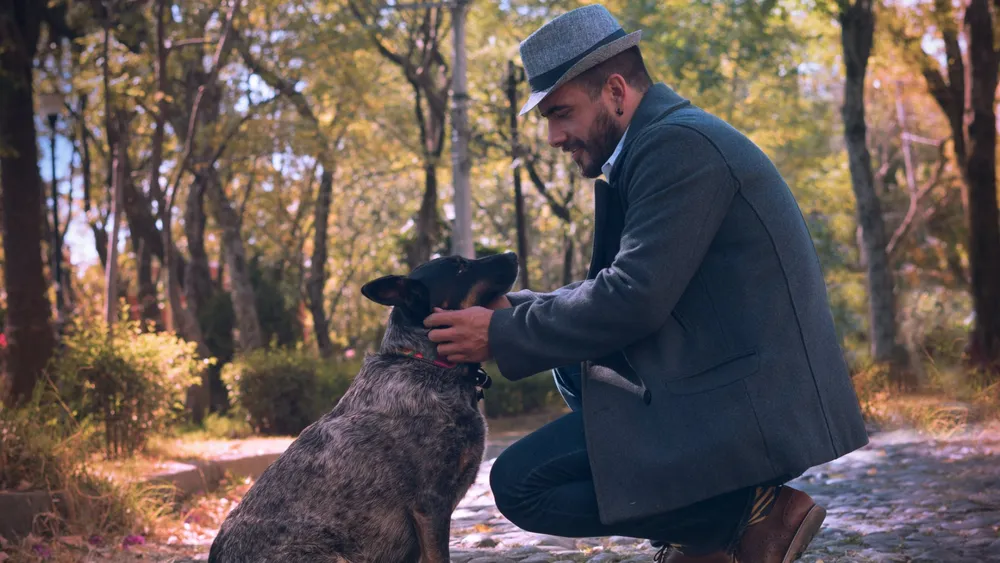 IMPROVING QUALITY OF LIFE