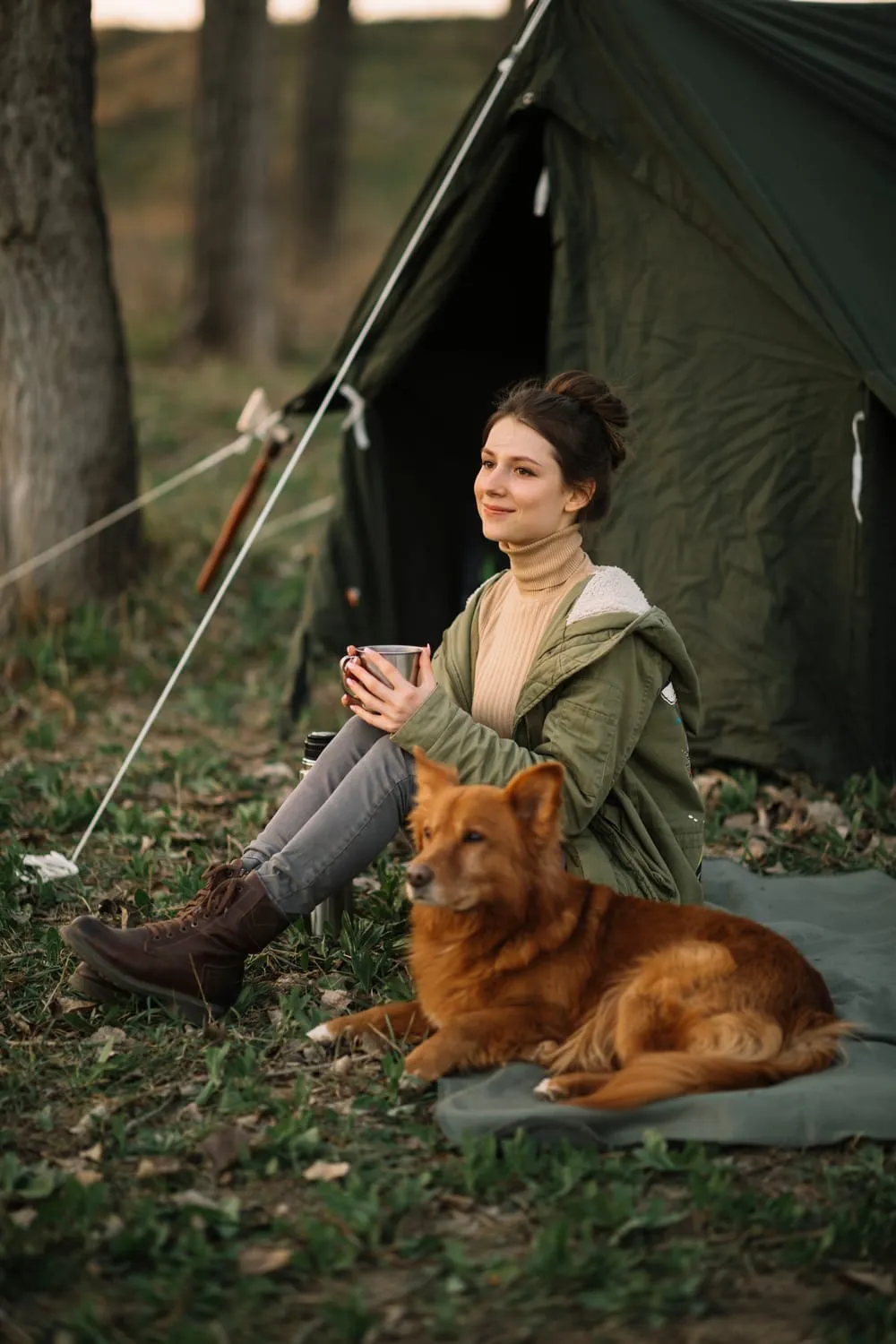 Features to Look for in Camping Dog Beds
