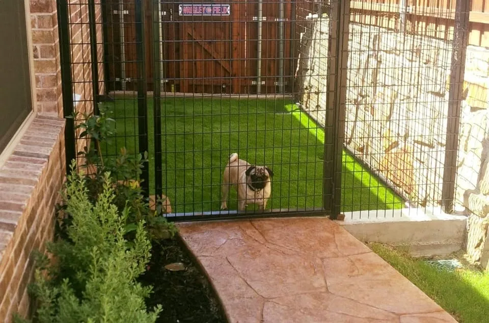Know How Much Fenced Area a Dog Needs?