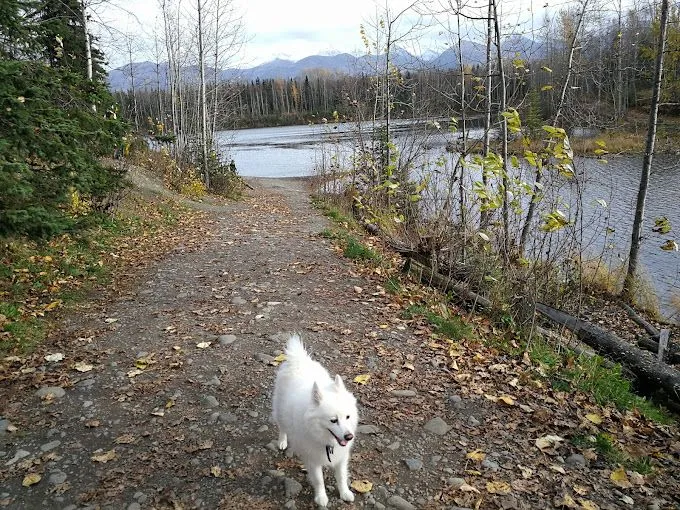 University Lake Dog Park - Anchorage, Alaska