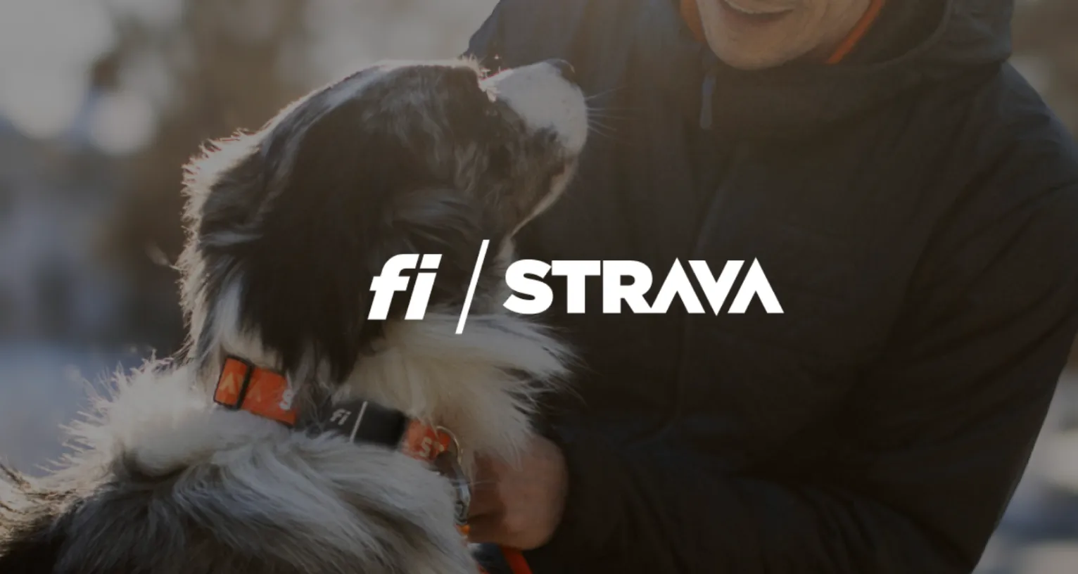 FI & STRAVA UNITE FOR WALK YOUR DOG DAY 2.22