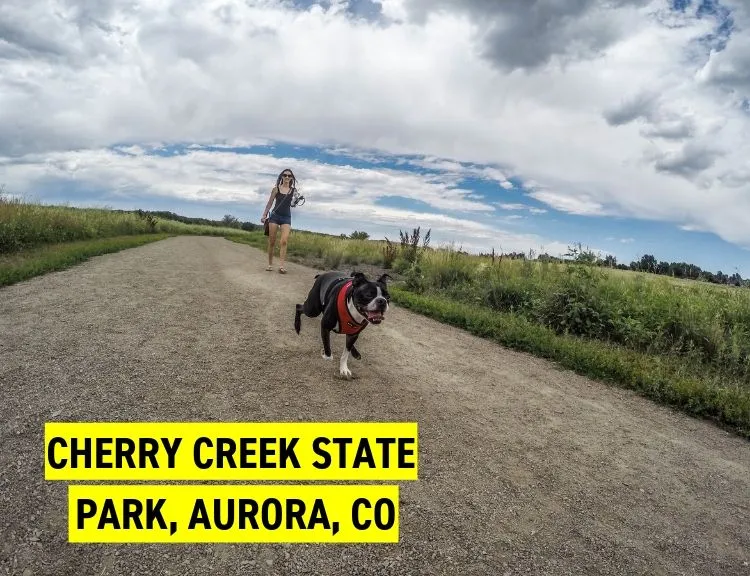 Cherry Creek State Park, Aurora, CO