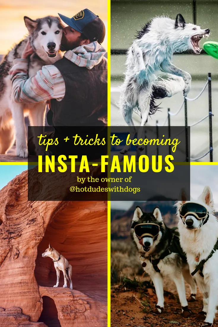 How to Make Your Dog Instagram Famous