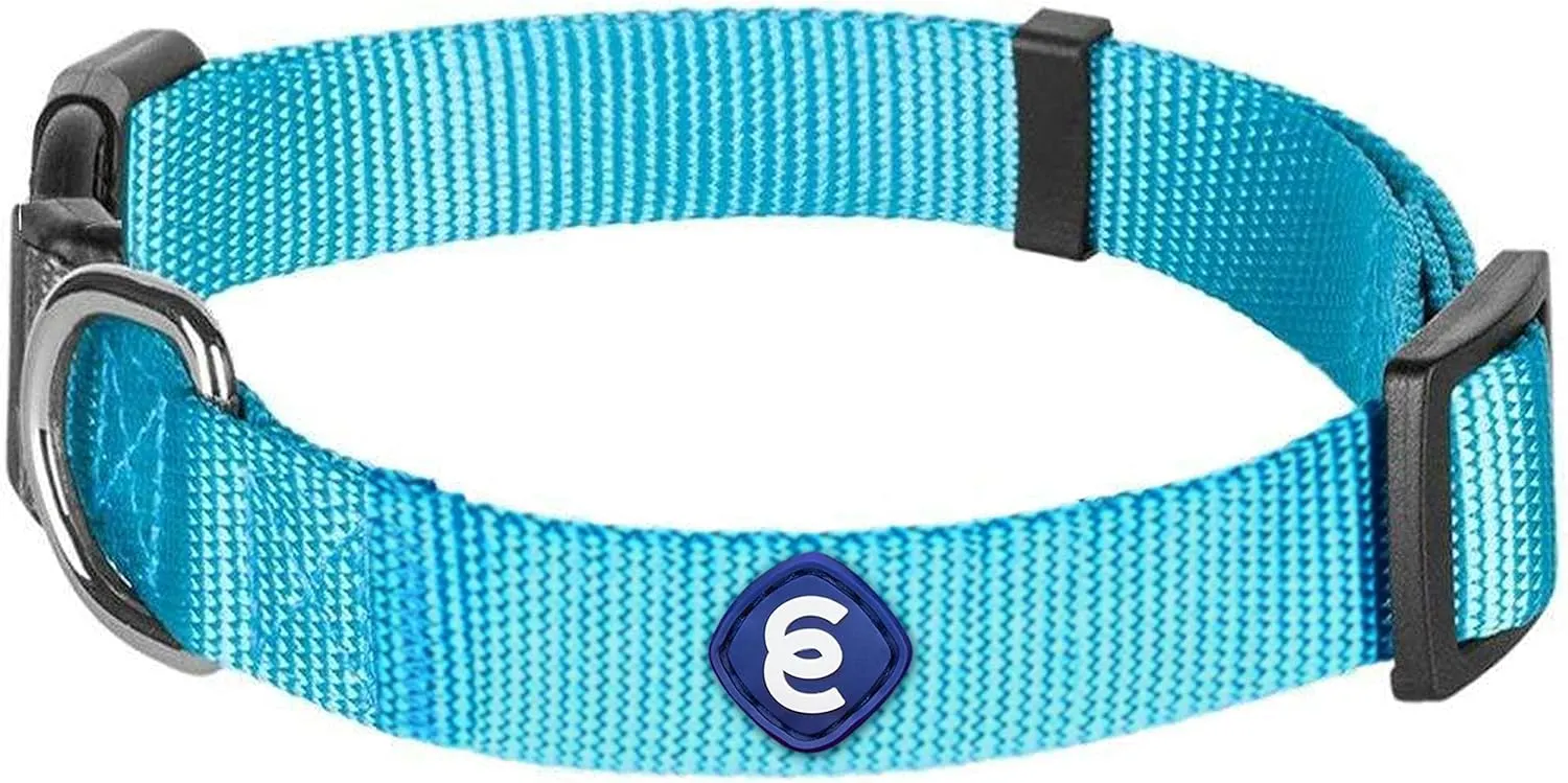 Blueberry Pet Essentials Classic Dog Collar