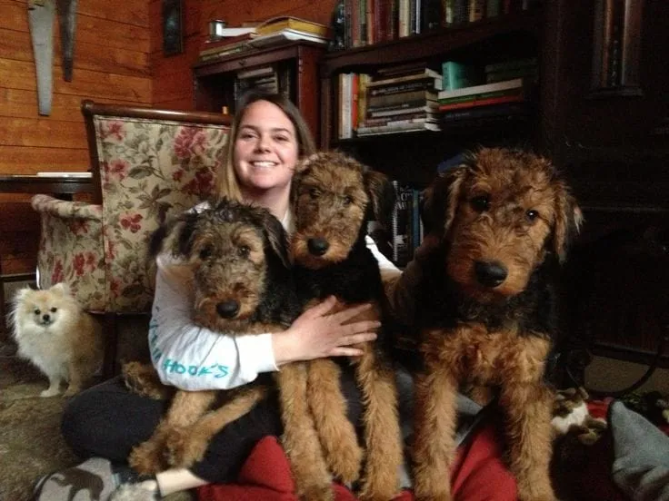 Owner with Airedale Terrier 