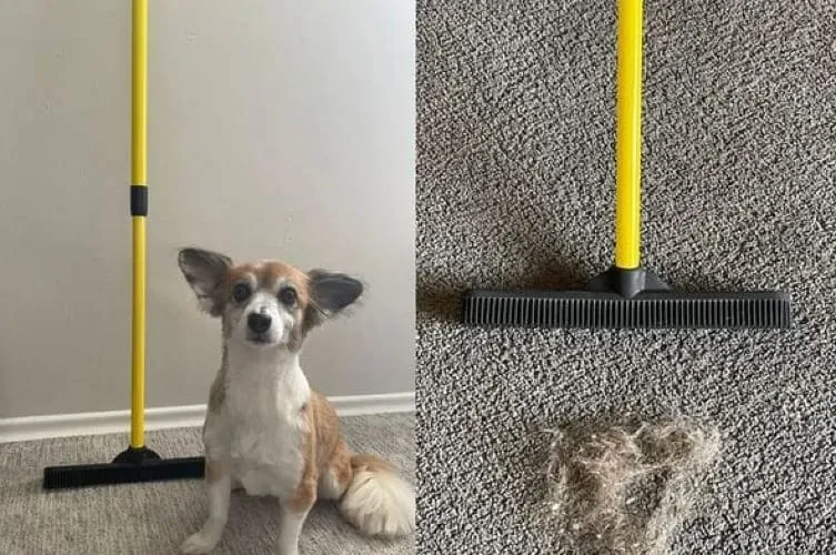 Top Broom for Dog Hair & Effective Cleaning