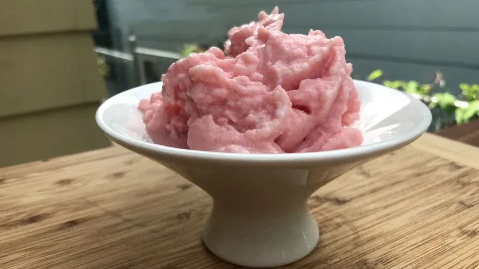 Watermelon Doggy Ice Cream